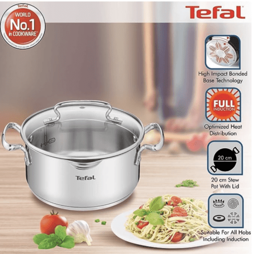 Tefal Duetto Plus Stainless Steel Stew Pot 20 cm with Glass Lid, Silver